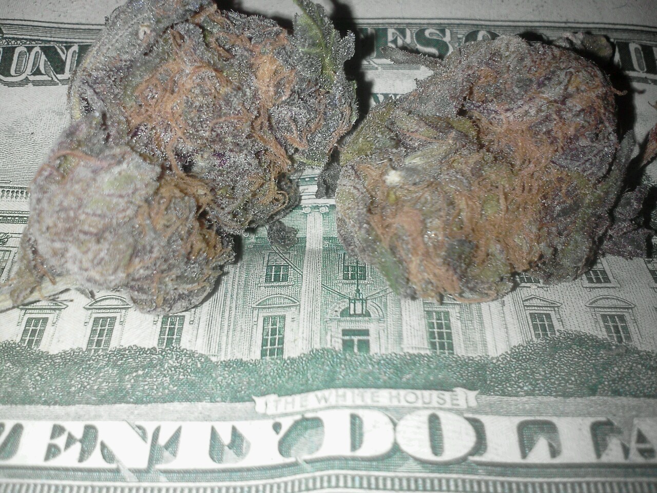 fuckin-frenchtoast:  Purple Trainwreck 