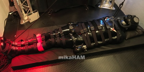 mikaham:  … a helpless rubberworm …  @boundrubberboi​