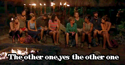 timandnikki-blog:  Survivor 28 Episode 6 - A Summary of Tribal Council 