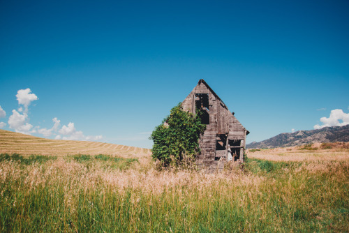 archatlas:    Kassandra Stockton A small sampling of the images from the Pacific Northwest you will find on the tumblr Dreamcatcher all captured by Kassandra Stockton. Enjoy the images that capture that magical combination of lush green forests full