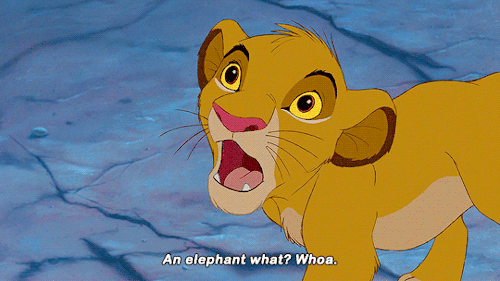 wdasgifs:The Lion King (1994) dir. Roger Allers and Rob Minkoff
