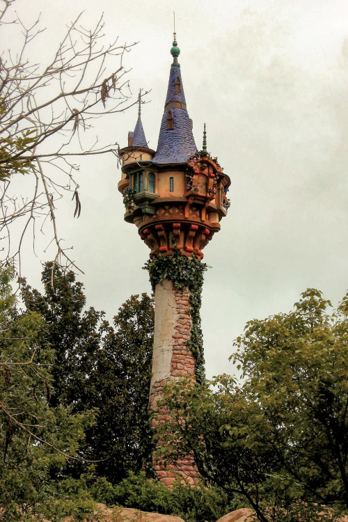 mynocturnality:Do you know where is this wonderful place?Edit:  Rapunzel’s tower, Diisney World in F