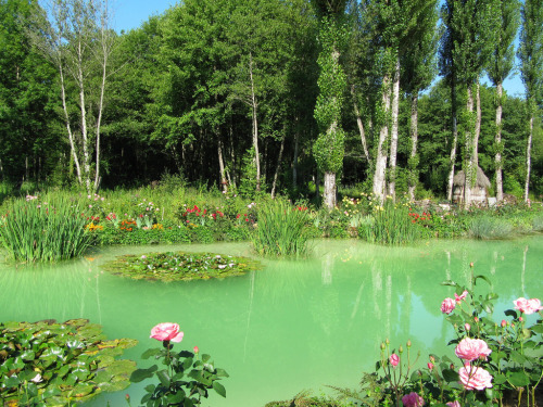 disease:Dordogne, France