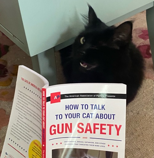 I Spent 14$ For This Photo