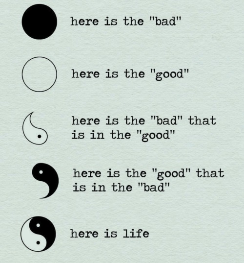  ☯️☯️☯️