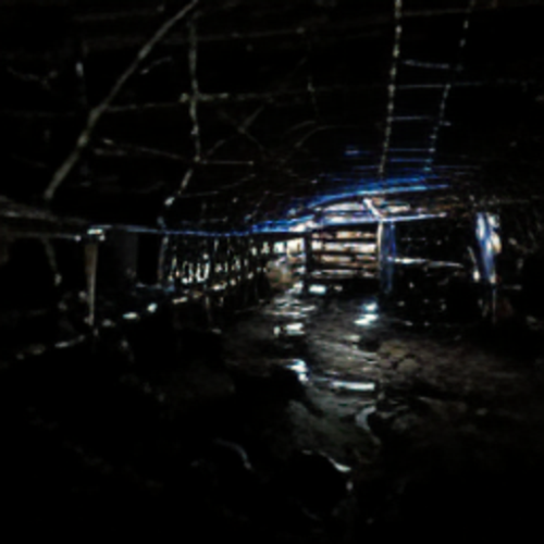 These Backrooms Do Not Exist