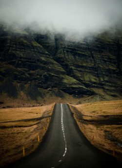 woodendreams:  Iceland (by Daniel Bosma)