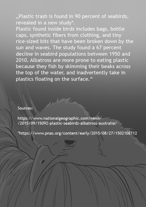 jenny-jinya: Short comic, while I work on something bigger on the side.  It is  nevertheless a very important topic. A lot of seabirds die because they  eat plastic. They feed their chicks with the waste. It’s really tragic.  