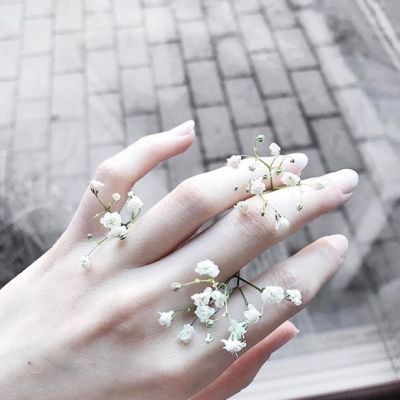 All I Want Is To Be Dainty…