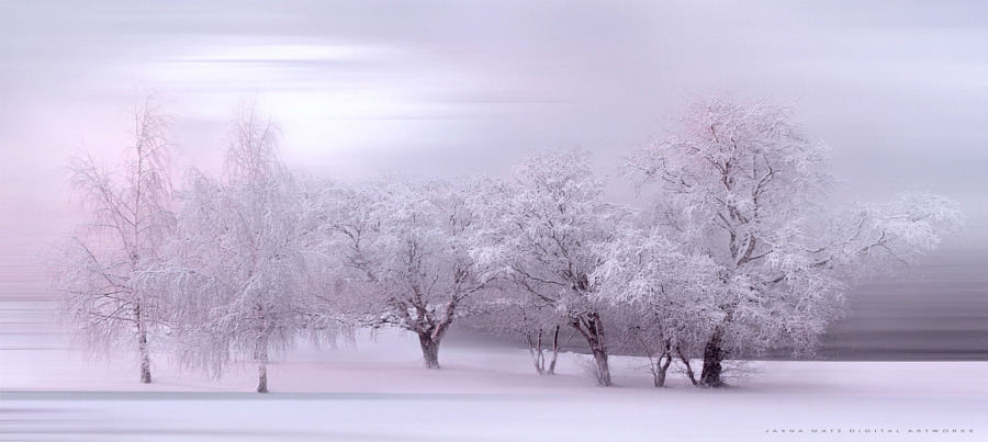 drxgonfly:  Winter Fairytale (by   Jasna Matz)