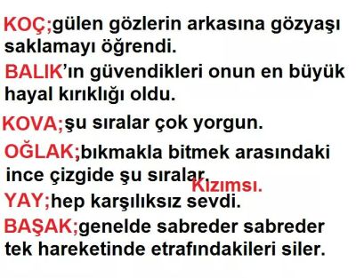 Koc Burcu For Android Apk Download