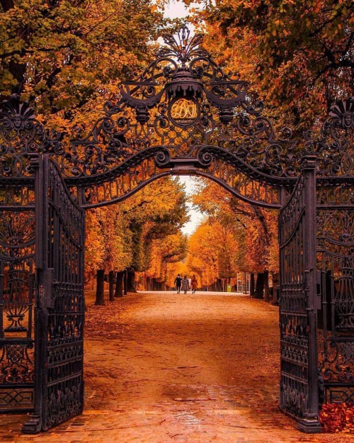 November With Uncanny Witchery In Its Changed Trees. With Murky Red Sunsets Flaming In Smoky Crimson