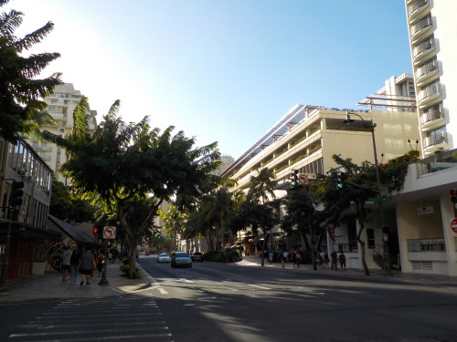 kuhio ave