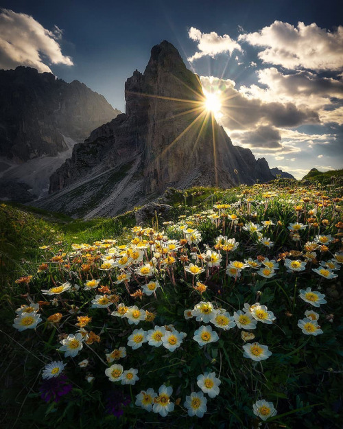 coiour-my-world:Dolomites || watschinger_lukas