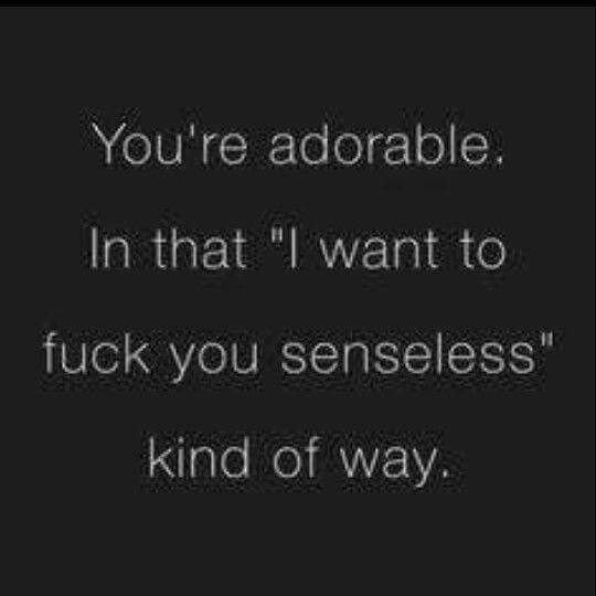 southernsassysub:  shesmykindaminx:  😼   That’s how to call someone adorable