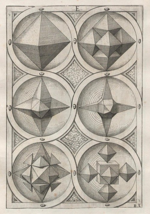 cassiatsura:  perspectiva corporum regularium by Wenzel Jamnitzer 