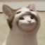 jamieclipse