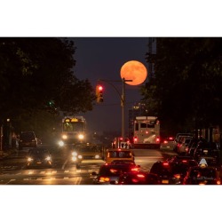 The East 96th Street Moon   Image Credit &amp; Copyright: Stan Honda  Explanation: A very full Moon rose over Manhattan&rsquo;s Upper Eastside on June 28, known to some as the Strawberry Moon. Near the horizon, the warm yellow lunar disk was a bit ruffled
