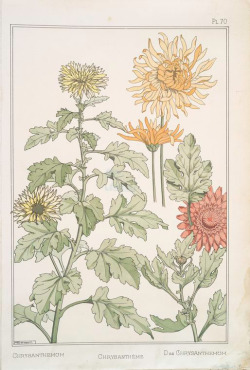 Fall is in the air, and chrysanthemums are in pots on porches all over town.  From Eugène Grasset’s La plante et ses applications ornementales,1897-9.