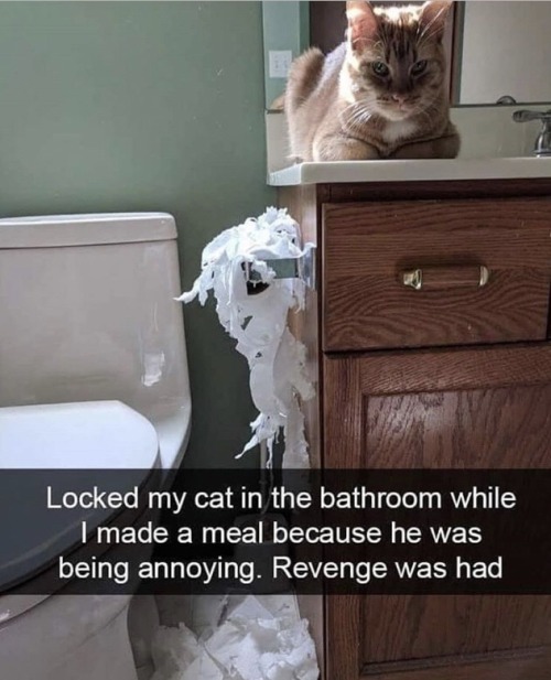 animalsnaps