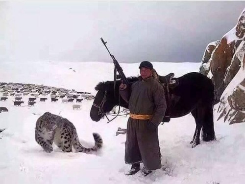 nkjemisin: viralthings: A Mongolian shepherd with an AK47 and a pet snow leopard …Nothing I w