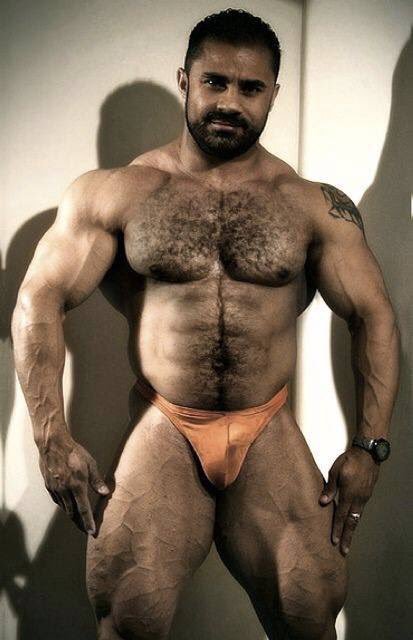 Handsome, muscular, hairy, sexy and an ideal bulge - he makes me dream - WOOF