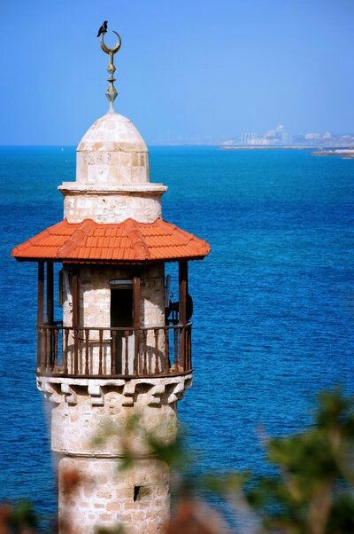 sh-inaam: Old city of occupied Yaffa… Palestine❤❤