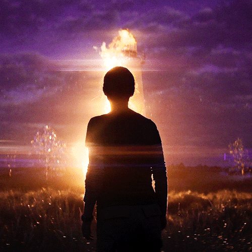 wandasmaximova:  It was dreamlike. Nightmarish? Not always. Sometimes it was beautiful.