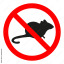 rat-detector-fail