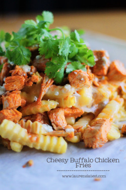 Craving-Nomz:  Cheesy Buffalo Chicken Fries