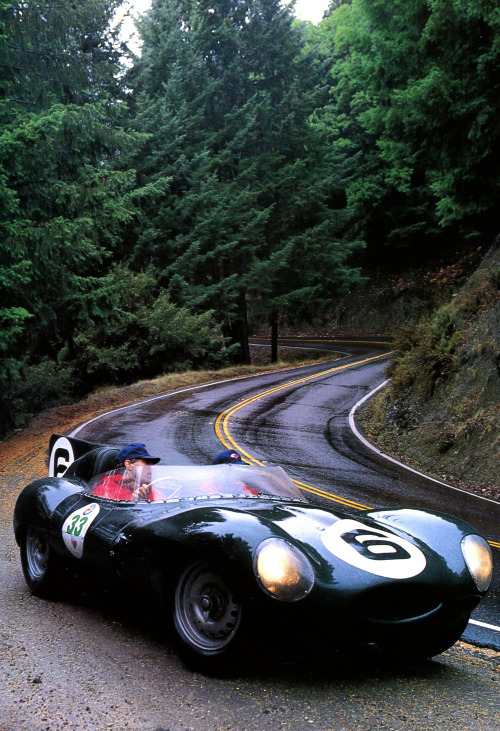 never-mind-the-dj:  frenchcurious:  Jaguar type D à nez court de 1955 - Mille Miglia… http://ift.tt/2folENr