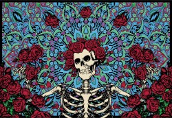 raindance-kidd:  grateful to be dead 