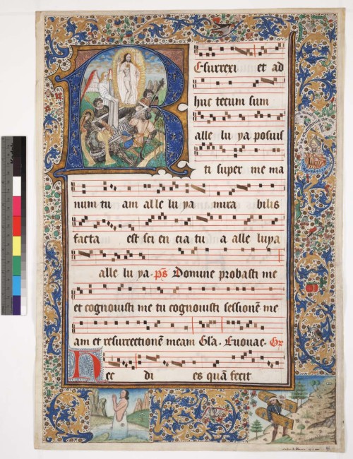 cantusilluminatus: One leaf from a 15th century Gradual from Flanders. Begins the Introit for E