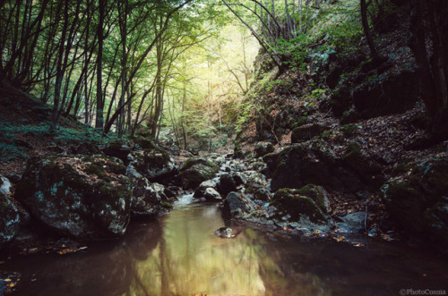 photocosma: Fantasy forest river, 2016 © PhotoCosmaphotocosma.net/