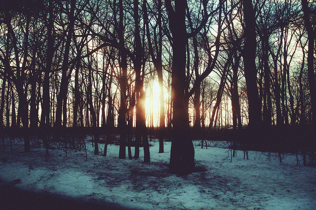 sicsen:  Glow blog ☽