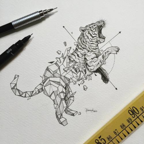 hostelsand-brothels:  culturenlifestyle:  Intricate Geometric Animal Illustrations by Kerby Rosanes 