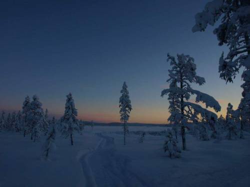 split-in-thirds:In a little town called Jukkasjärvi in Northern Sweden - near the Ice Hotel and the 