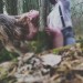 anguissette-rivers:anguissette-rivers:🌱Tumblr came for the other set 😭