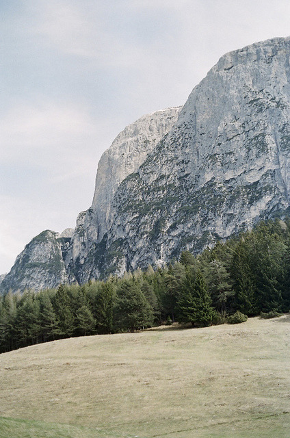  nature &amp; vintage blog 