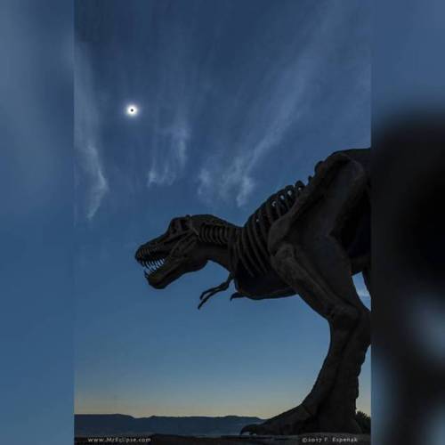 Porn Eclipsosaurus Rex #nasa #apod #eclipse #totalsolareclipse photos