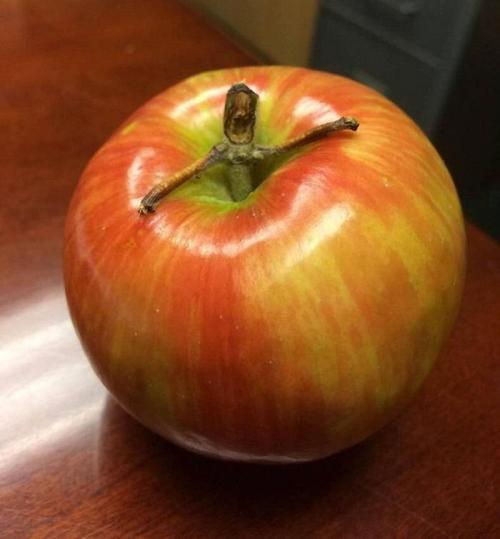“I am Froot.”