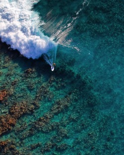 surf4living:  How shallow is too shallow… Manu Bovet, outer islands Tahiti… Photo: Ben Thouard 