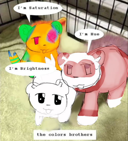 Wow Ccat Ocs