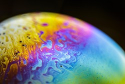 thefrozenrose:  sixpenceee:  A soap bubble