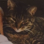 catlady2357
