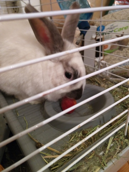 Strawberry!