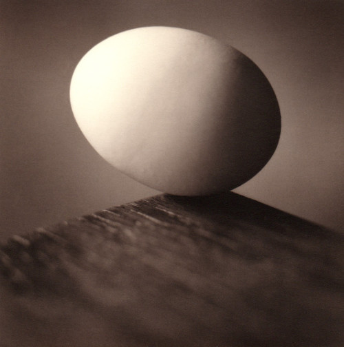 Egg, 2003Ion Zupcu