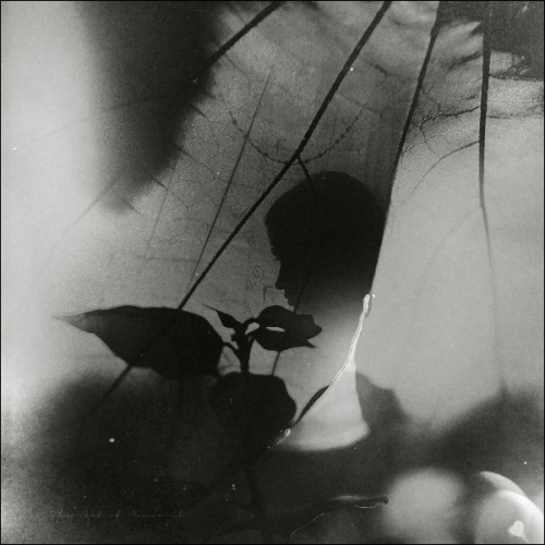 memoryslandscape:  Menoevil Aow, Left myself behind, 2016 The Art of Menoevil 