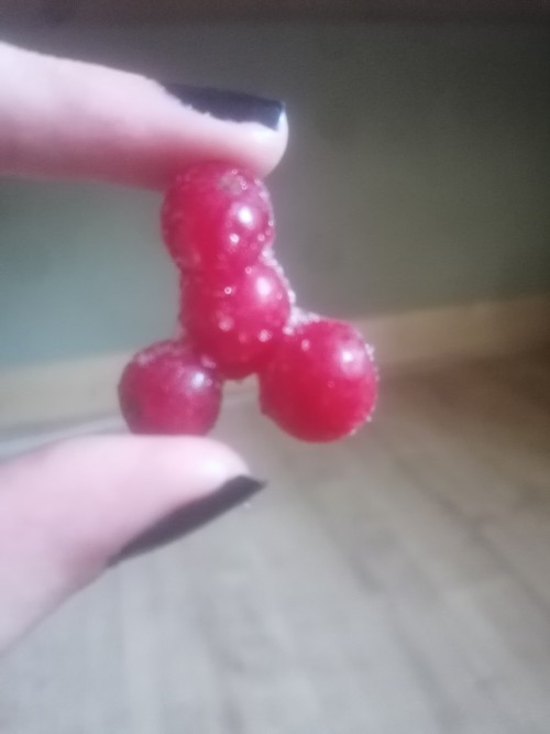 My Red Current Froze Into A Pp