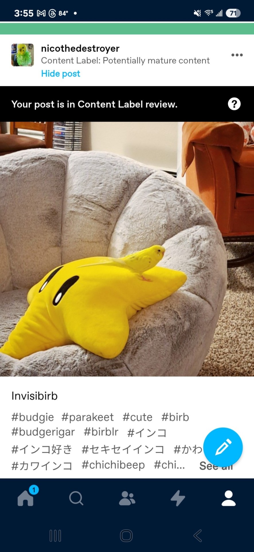 Tumblr media